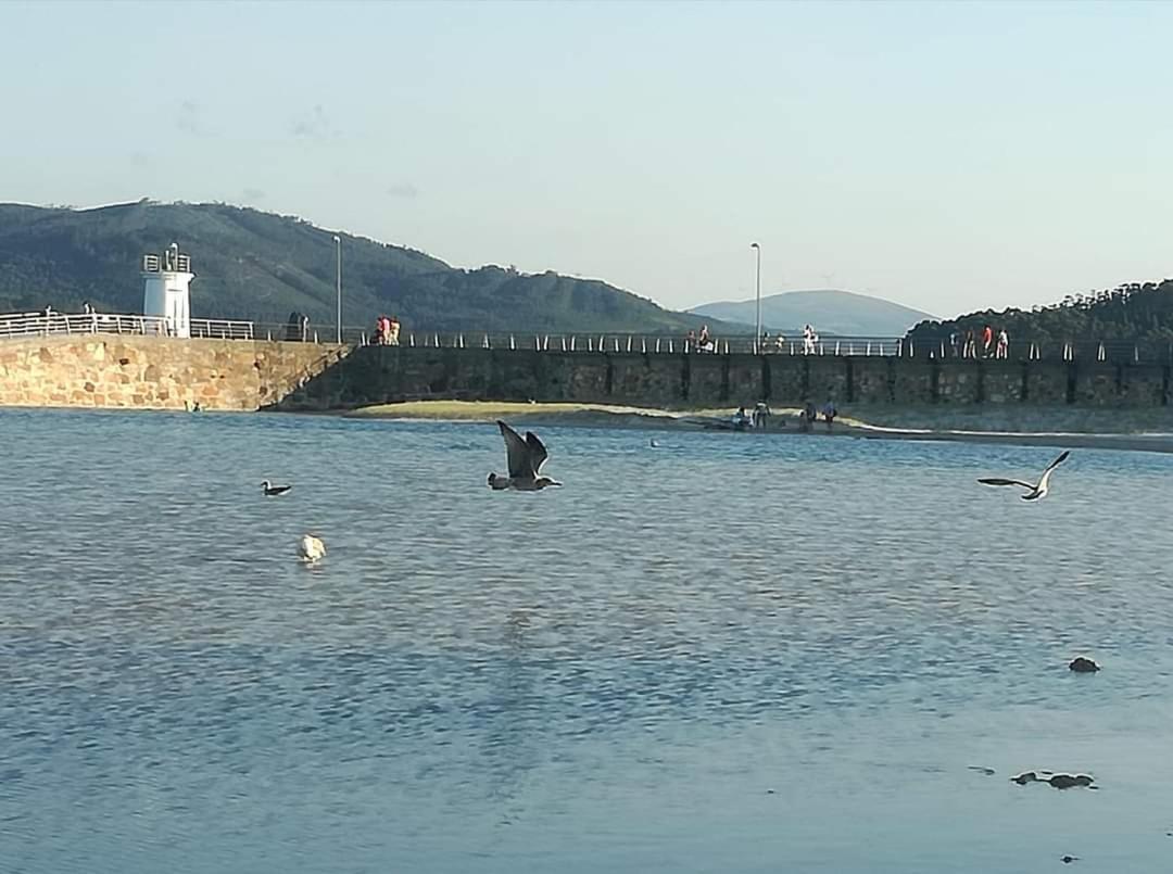 Foz, Ven Y Disfruta Galicia Daire Dış mekan fotoğraf